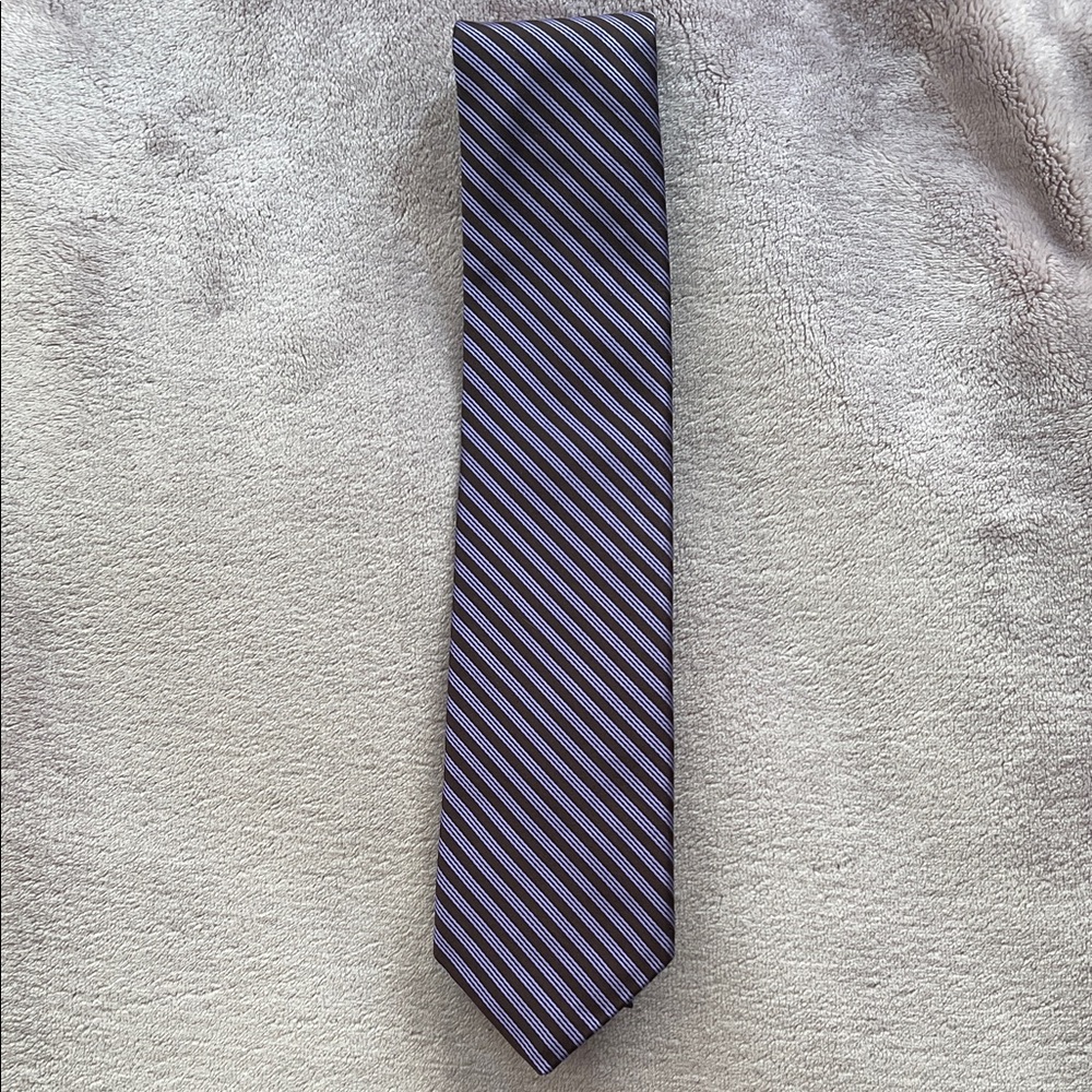 Robert Talbott Elegant Purple and Brown Diagonal Tie